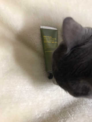 썽츄님이 올린 리뷰 사진 3