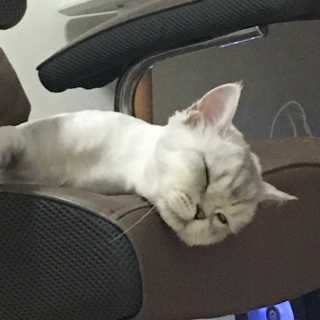 단발소녀님이 올린 리뷰 사진 3
