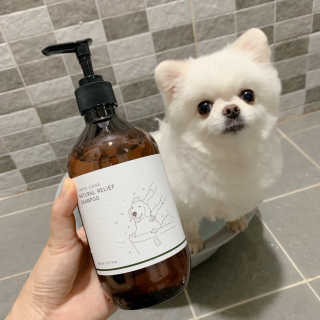 보라미90님이 올린 리뷰 사진 1