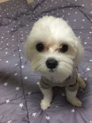 지비님이 올린 리뷰 사진 3