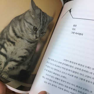 쪼롱님이 올린 리뷰 사진 2