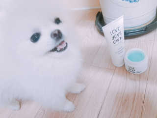 고우리님이 올린 리뷰 사진 2