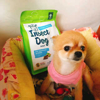 soymilk님이 올린 리뷰 사진 1