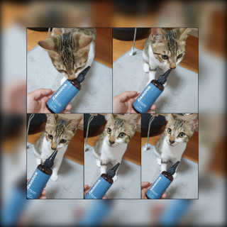 지뚠뚜님이 올린 리뷰 사진 1