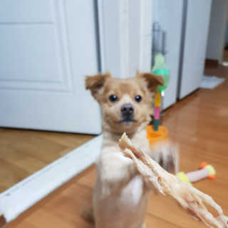용2님이 올린 리뷰 사진 1