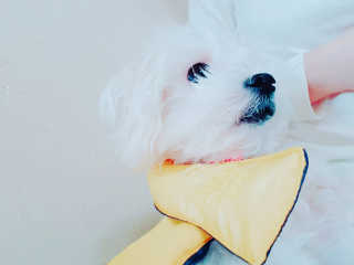 윱니님이 올린 리뷰 사진 1