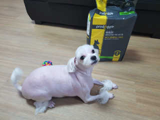 블링데코님이 올린 리뷰 사진 1