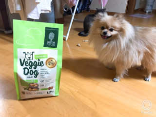 민토리님이 올린 리뷰 사진 2
