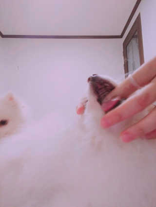 하은맘님이 올린 리뷰 사진 3