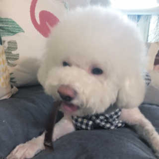 슈슈네님이 올린 리뷰 사진 3