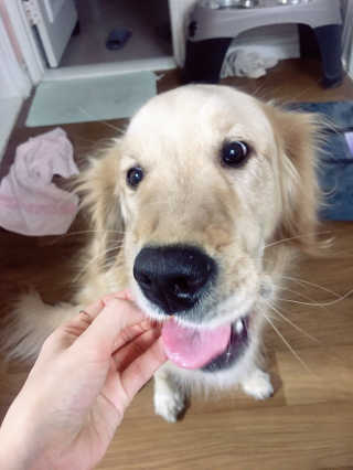 pang2님이 올린 리뷰 사진 4