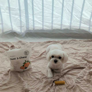 콩순이엄마님이 올린 리뷰 사진 3