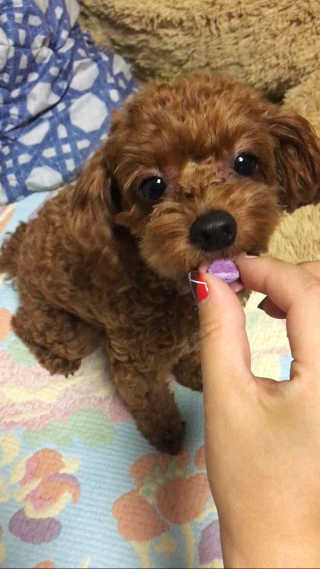 혀년쥬님이 올린 리뷰 사진 2