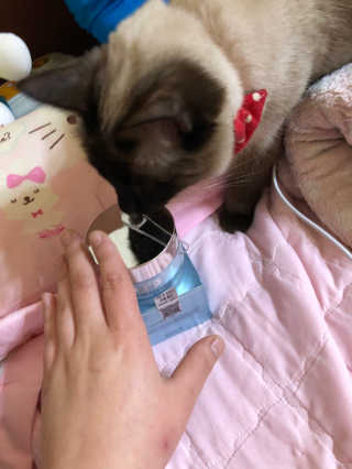 떵이님이 올린 리뷰 사진 4