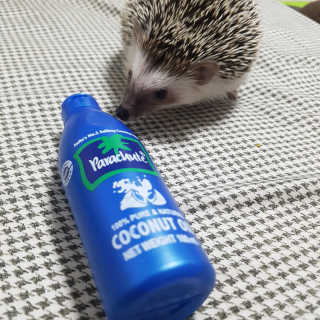 루돌프사슴님이 올린 리뷰 사진 2
