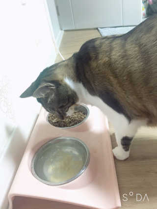 징니คʕ•ﻌ•ʔค님이 올린 리뷰 사진 3