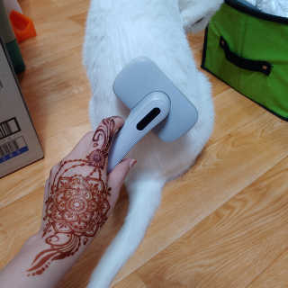 라온시연님이 올린 리뷰 사진 1