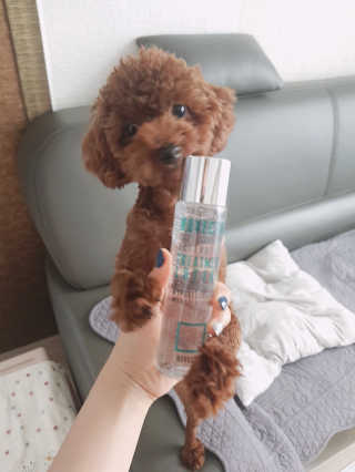 뽐님이 올린 리뷰 사진 1