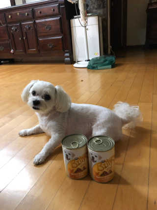 Canteen님이 올린 리뷰 사진 2