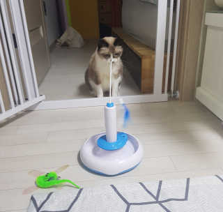 리라로님이 올린 리뷰 사진 3