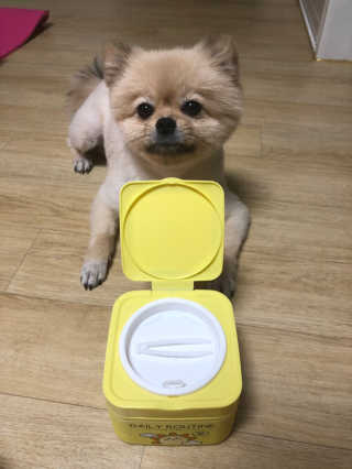 berryjjung님이 올린 리뷰 사진 2