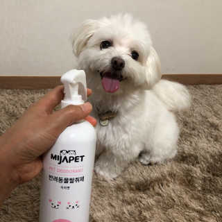 규빈띵쏘님이 올린 리뷰 사진 2