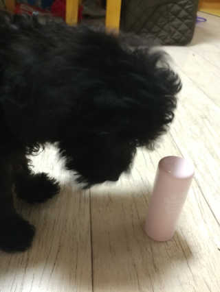LeeYoonhee님이 올린 리뷰 사진 4