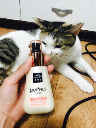 쿠키쿠님이 올린 리뷰 사진 1