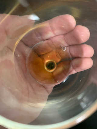 해링비 해링 B 디톡스 가글액 — 4.5점을 준 리뷰어가 2018년 12월 올린 사용 사진
