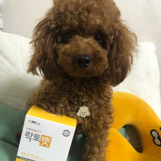 칸쵸님이 올린 리뷰 사진 2