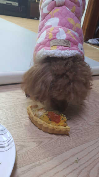 율이율율님이 올린 리뷰 사진 3