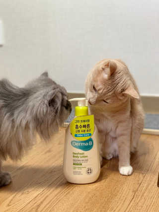 선짱님이 올린 리뷰 사진 1