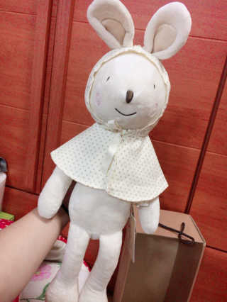 코니베이비 마음성장 애착인형 코니와베베 — 5점을 준 리뷰어가 2016년 11월 올린 사용 사진