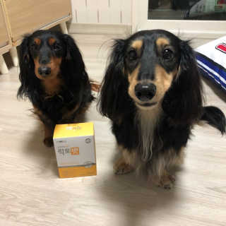 젼님이 올린 리뷰 사진 2