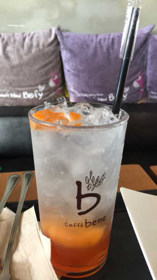 송팸님이 올린 리뷰 사진 1
