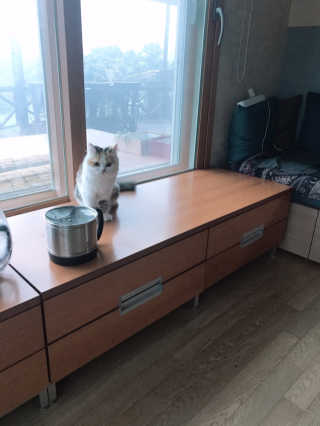 민댕댕이님이 올린 리뷰 사진 4
