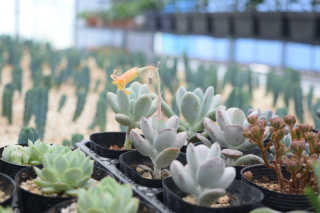 seonahdo님이 올린 리뷰 사진 3