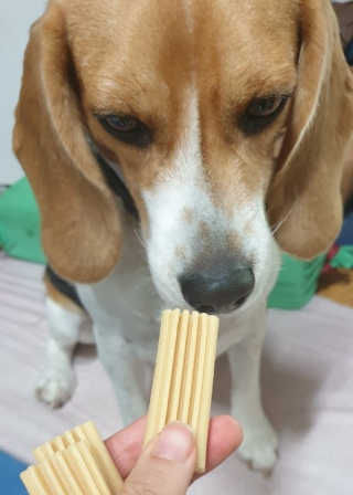 beaglelove님이 올린 리뷰 사진 3