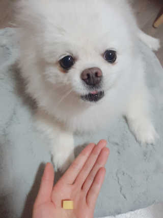쟈스민님이 올린 리뷰 사진 3