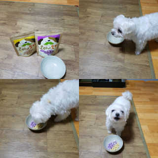 이가현님이 올린 리뷰 사진 1
