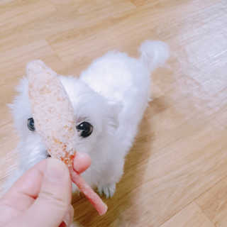 노다지님이 올린 리뷰 사진 1