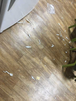 [펫토리아] 뚝딱뚝딱 400g 강아지 간식 베스트5종 — 5점을 준 리뷰어가 2019년 1월 올린 사용 사진