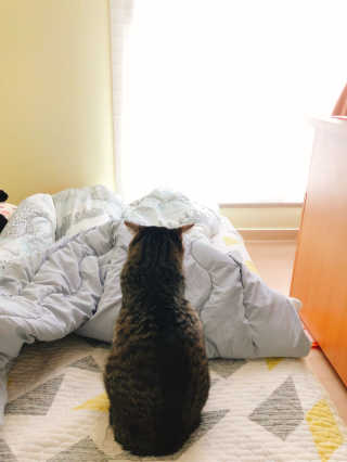 하영님이 올린 리뷰 사진 2