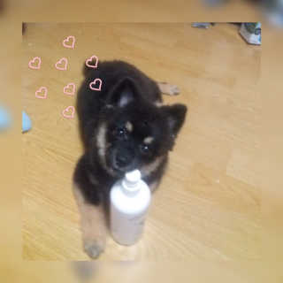송정아님이 올린 리뷰 사진 1