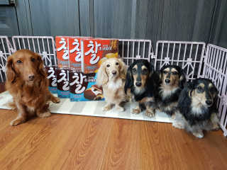 5_daks님이 올린 리뷰 사진 2