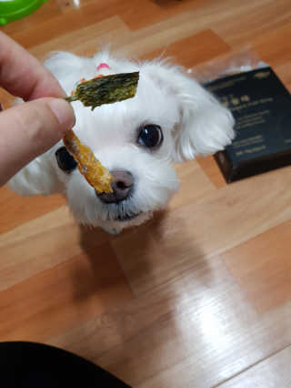 두부님이 올린 리뷰 사진 3