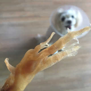 haeri님이 올린 리뷰 사진 2