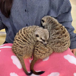 우히히님이 올린 리뷰 사진 3