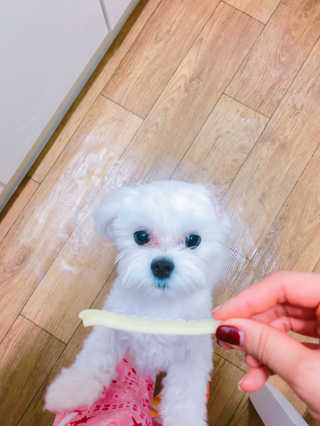 아룽님이 올린 리뷰 사진 4