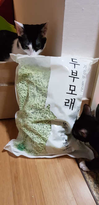 얄루님이 올린 리뷰 사진 1